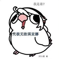 为爱而走