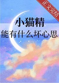 花儿与少年·丝路季 综艺免费观看